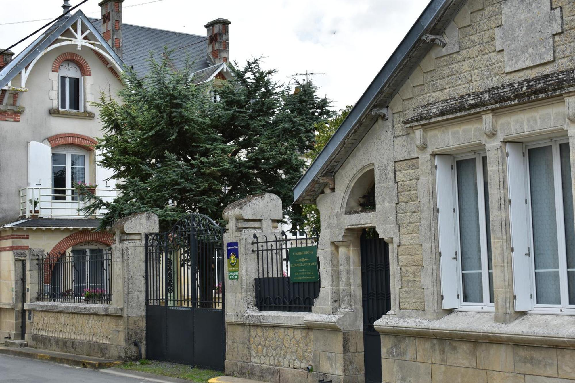 Le Logis De La Venise Verte Saint-Hilaire-la-Palud Buitenkant foto
